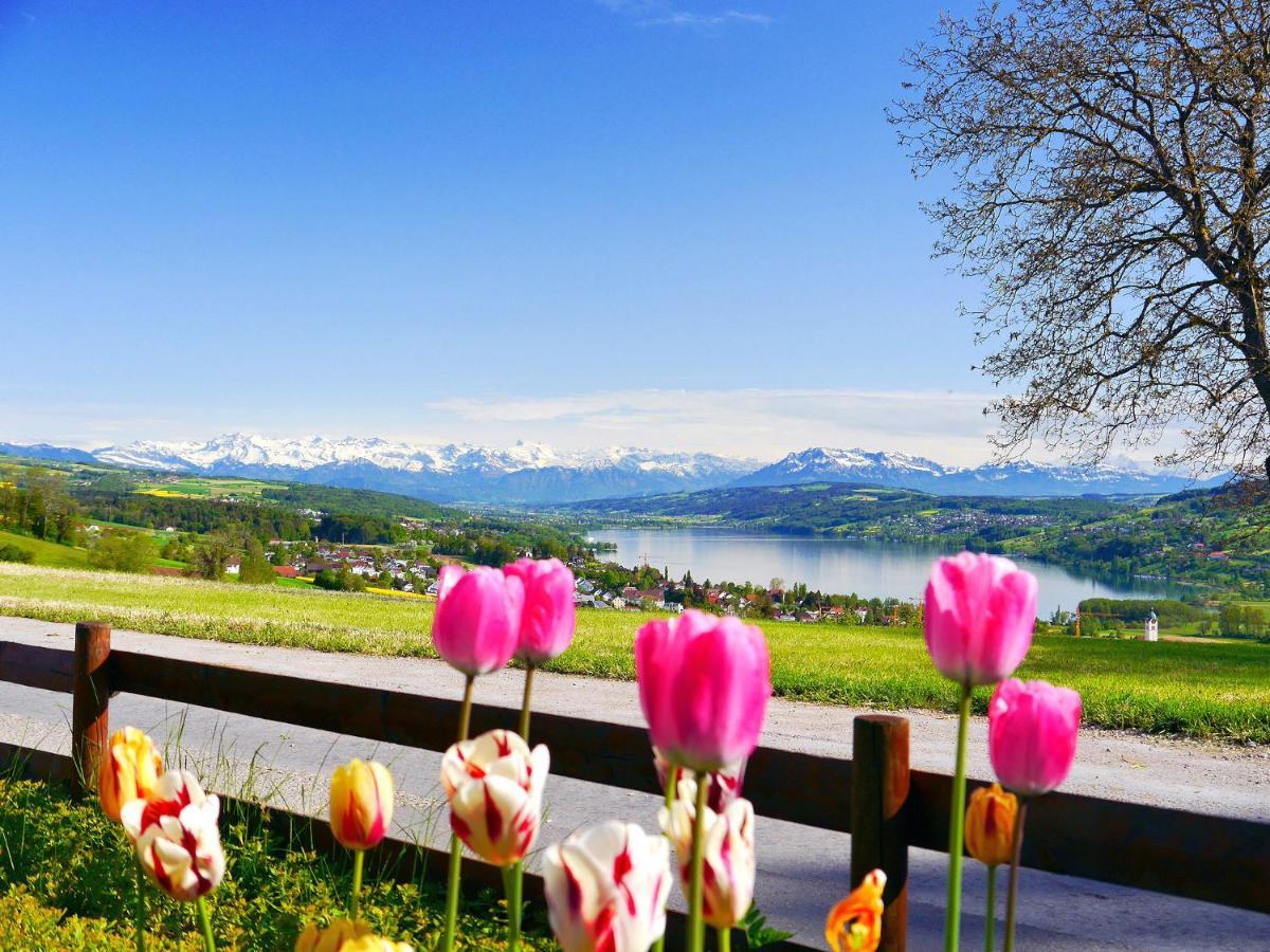 Hotel Restaurant Eichberg Seengen Dış mekan fotoğraf