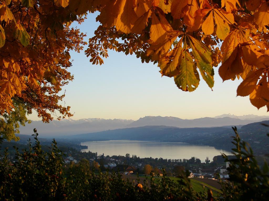 Hotel Restaurant Eichberg Seengen Dış mekan fotoğraf